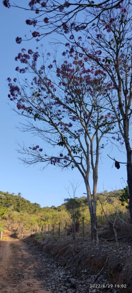 imagem do imvel 1347
